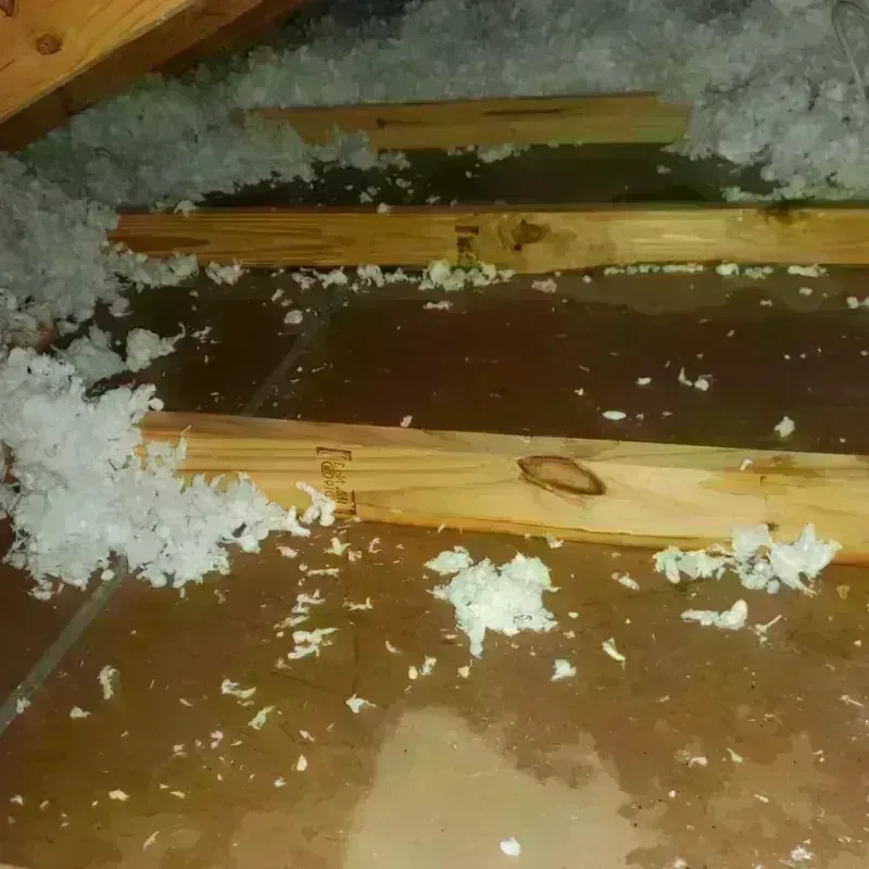 Attic Water Damage in Haskell County, TX